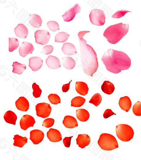 口袋超盘 ETF产品加速涌现，中长期资金更青睐哪些方向？