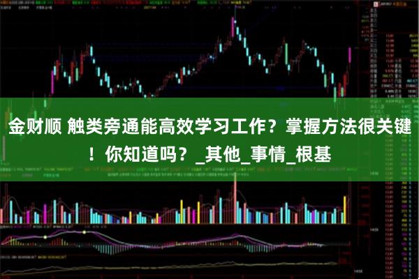 金财顺 触类旁通能高效学习工作？掌握方法很关键！你知道吗？_其他_事情_根基